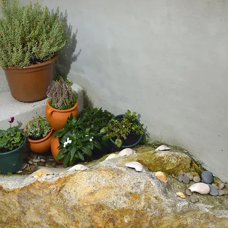 Pensjonat Dukes Corner