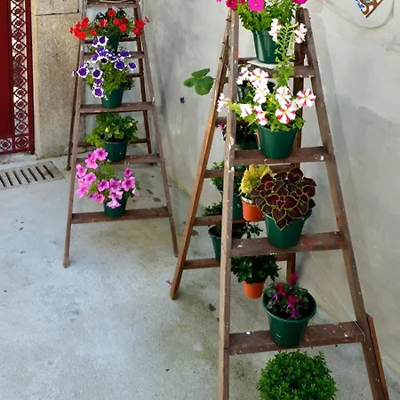 Pensjonat Dukes Corner 3*