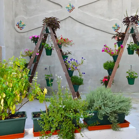 בית הארחה Dukes Corner